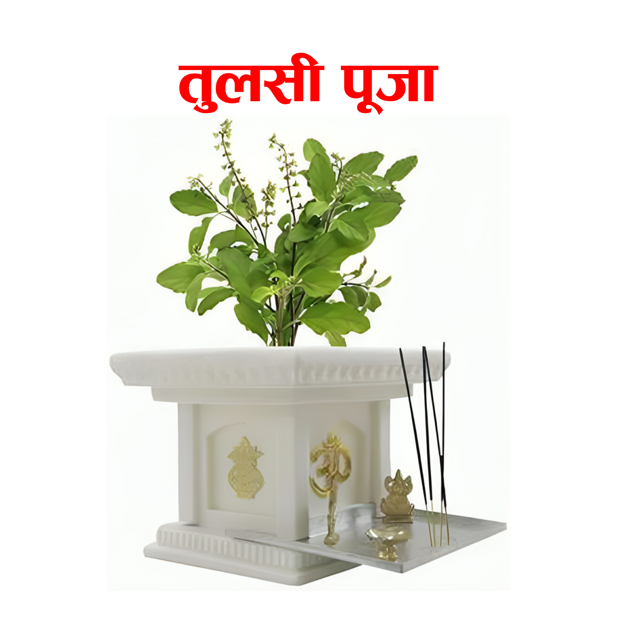 Tulasi Puja