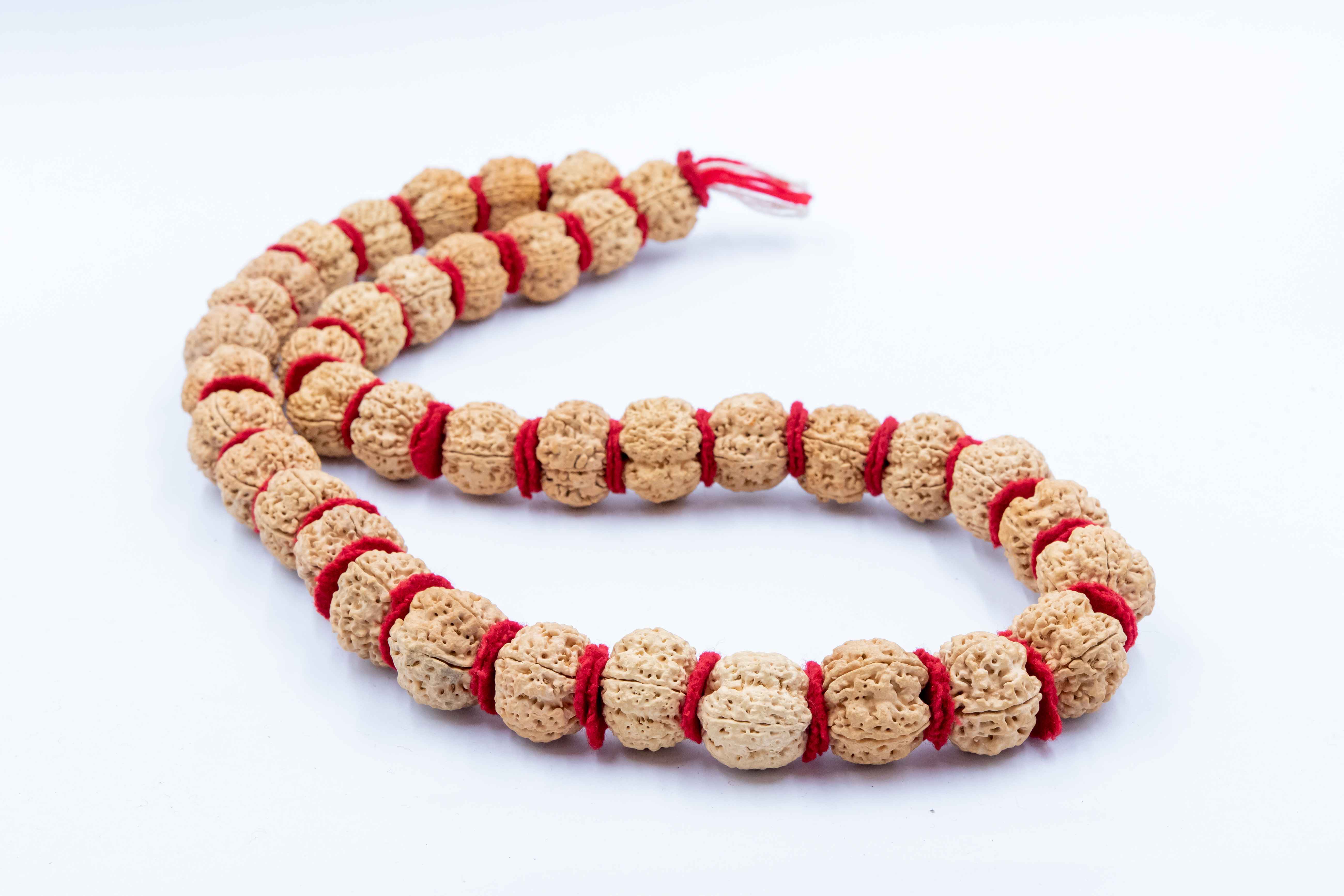 5 Mukhi Smooth 54 Beads Mala