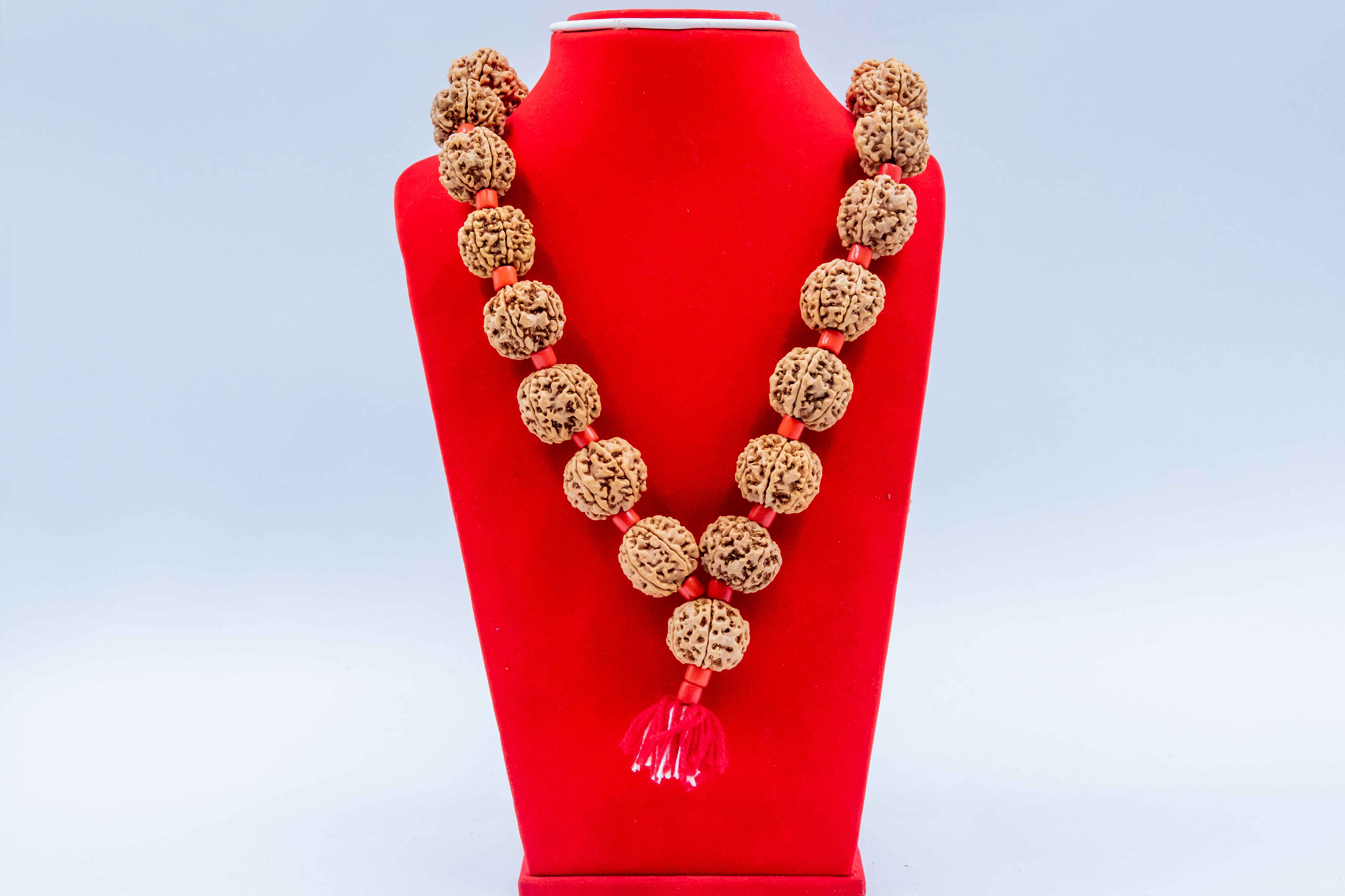 6 Mukhi Rudarkshya Mala with Muga